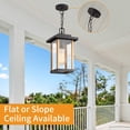 thumbnail image 5 of Smeike Outdoor Pendant Lights, Hanging Porch Lights with Clear Glass Shade, Outdoor Hanging Light for Outside Garage Driveway Patio, Wood Grain Finish & Matte Black Finish, 5 of 9