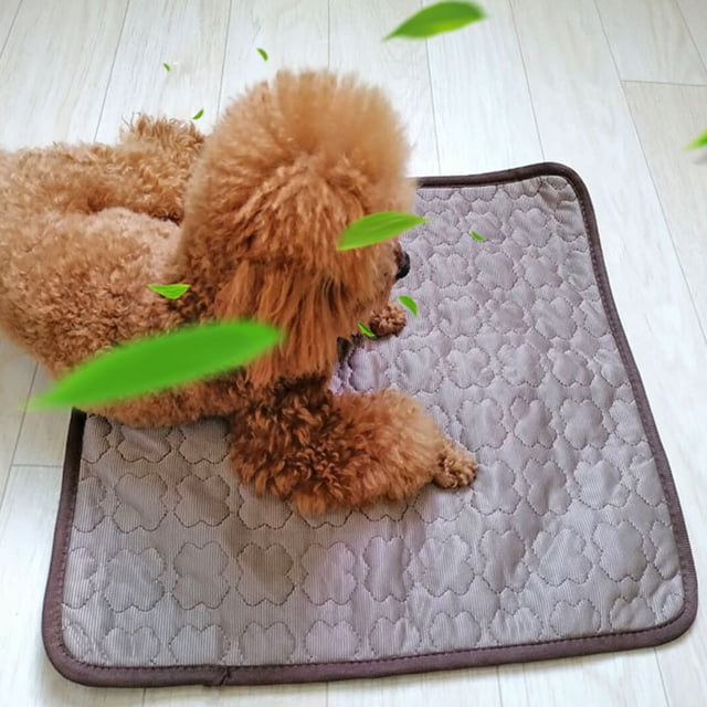 Flmtop Tapis Rafraîchissant Confortable en Tissu Respirant pour Chien pour l'Été Bleu