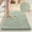 Green, variant on Todaioua Small Bathroom Rug 16x24 Inch Non Slip Fluffy Bath Mat for Bathroom Floor Washable Plush Premium Bath Rug for Tub Soft Shaggy Absorbent Shower Mat