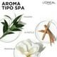 thumbnail image 5 of L&rsquo;Or&eacute;al Paris Kit Ever Pure Frizz-Defy: Rutina Shampoo y Acondicionador, con aceite de marula, controla el frizz hasta por 24 horas, para todo tipo de pelo te&ntil L’Oréal Paris NA, 5 of 7