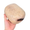 thumbnail image 4 of LOLIPPYY Simulated Stone Outdoor Key Storage Box Light Yellow Resin with Quick Access for Garden Use, 4 of 5