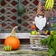 thumbnail image 5 of Jardín De Halloween, Carteles De Metal Encantadores Para El Suelo, Adorno De Gnomo Para Fiesta, Patio, Césped, Balcón, Decoraciones De Pie seitruly HA043840-04, 5 of 6