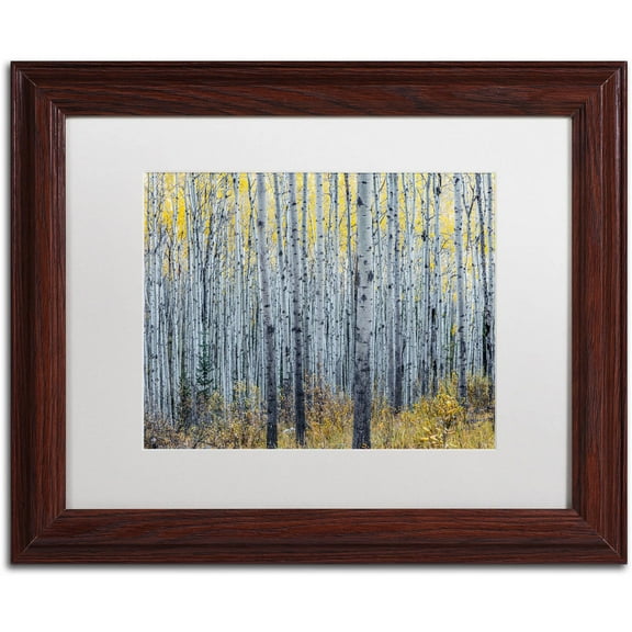 Trademark Fine Art 'Forest of Aspen Trees' Canvas Art by Pierre Leclerc, White Matte, Wood Frame