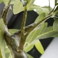 thumbnail image 3 of Artificial Olive Tree Plants 32 Inch Fake Olive Branch Leaves Topiary Silk Tree Faux Plant Decor, 3 of 5