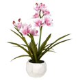 thumbnail image 1 of Vickerman FN180702 Orchidée Rose de 26 Po en Pot Blanc, 1 of 2
