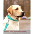 thumbnail image 7 of Minzimin 1Pcs Reflective Dog Collar with Buckle Adjustable Safety Nylon Collars for Small Medium Large Dogs, 7 of 7