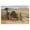 Unframed, variant on Art.com Smoke Tree Ranch, Palm Springs, California Art Print, 18" x 12"