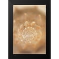 thumbnail image 2 of Millet, Karyn 13x18 Black Modern Framed Museum Art Print Titled - Sea Shell V, 2 of 5