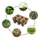 thumbnail image 5 of Xihbxyly Almacén de Liquidación Macetas de Turba Bandejas de Semillas Macetas Bandejas de Germinación 6 Celdas, 5 of 7