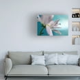 thumbnail image 2 of Heidi Westum 'In Turquoise Company' Canvas Art, 2 of 4