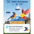 thumbnail image 2 of Comedero para Pájaros MZniros Triple Solar con Cámara WiFi 2K, 2 of 7