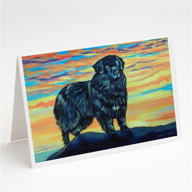 Cartes de Vœux et Enveloppes Terre-Neuve - Pack de 8