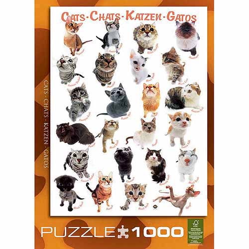 cat breed puzzle