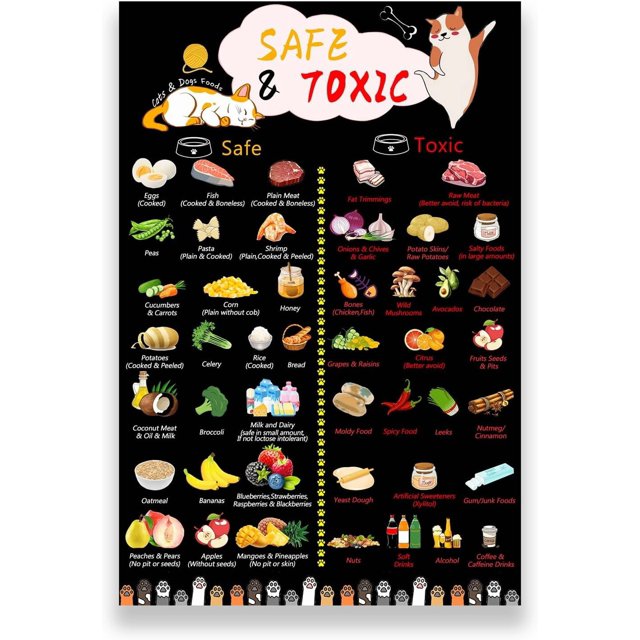 Xianyou-guide Magnétique de Sécurité Alimentaire pour Chiens et Chats, Tableau de Nourriture pour Chiens Aimant de Réfrigérateur, Nourriture pour Chiens Ne Devrait Pas Manger Tableau Aimants Décoratifs, Numéros d'Urgence de Sécurité pour Chiens et Chats Aimant-11.8 Pouces x 7.8 Pouces-Noir