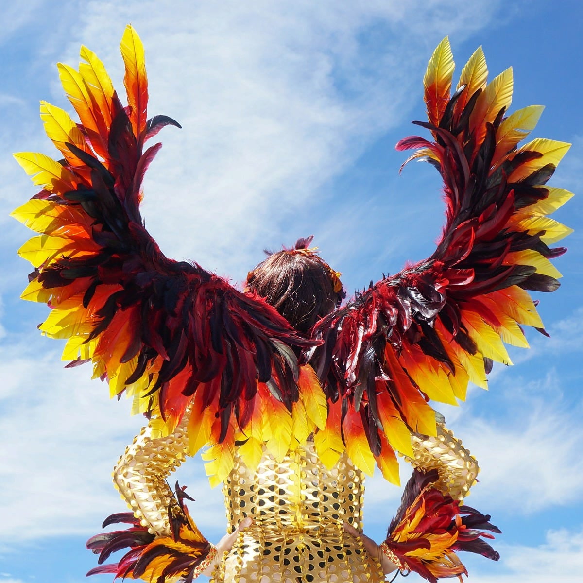 Phoenix Firebird Dyed Feather Wings - Red 