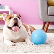 Jolly Pets Bounce-n-Play Jolly Ball Dog Toy, 4.5, Light Blue