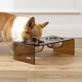 thumbnail image 5 of THE LICKER STORE Keaton 5" Small/Medium Modern Acrylic Rectangular Elevated Pet Feeder with 20oz 2-Stainless Steel Bowls, Amber/Chrome, DBL2000D, 5 of 7