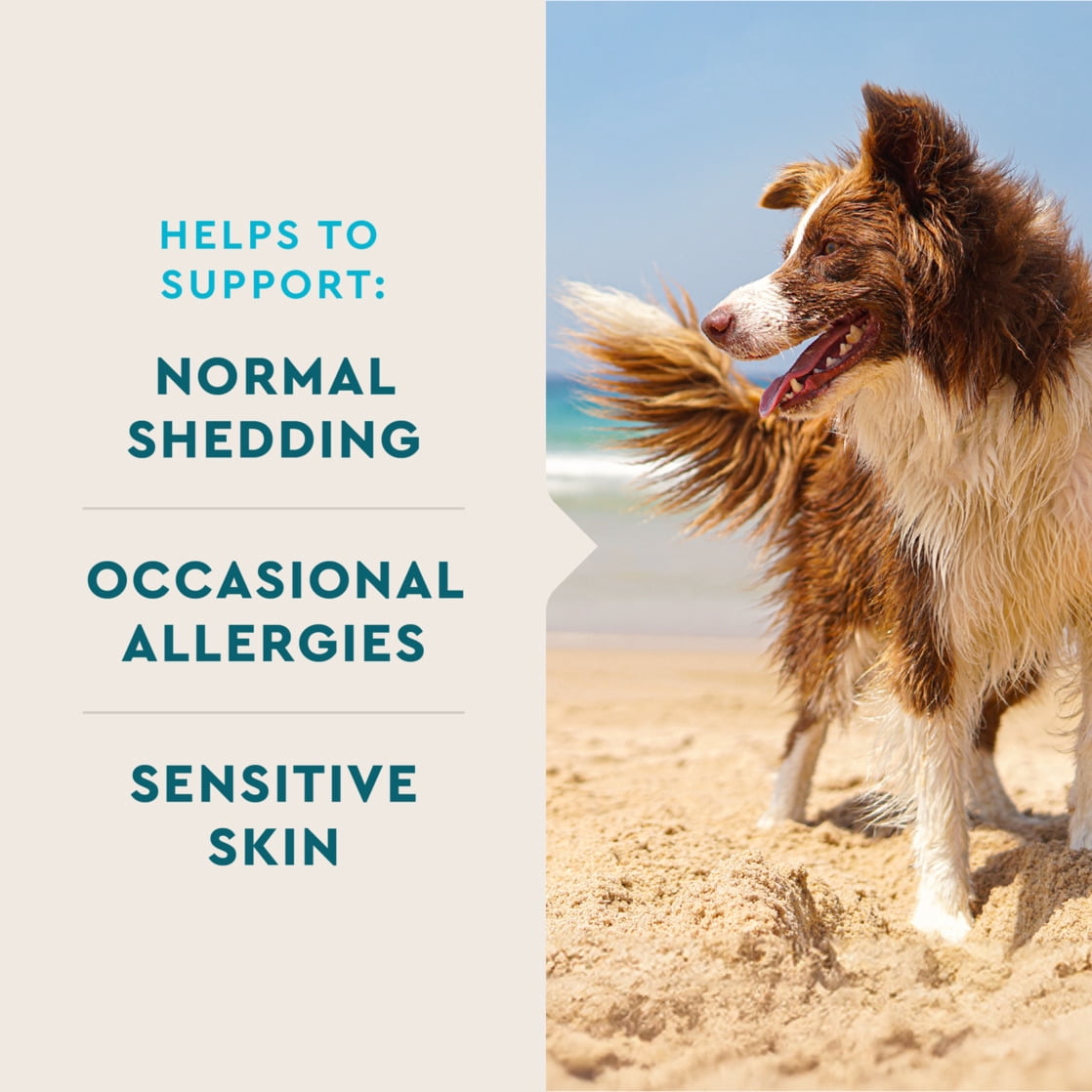 VetIQ Skin & Coat Chews for Dogs