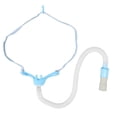 thumbnail image 1 of Cánula de oxígeno nasal de alto flujo Accesorio de tubo de oxígeno nasal desechable para adultos para el hogar Hospital, 1 of 10