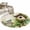 SpringGreen, variant on Small Round Rug 3Ft Washable Non-Slip, Spring Floral Circle Area Rugs for Living Room Bedroom, Birds Cabin Daisy Watercolor Botanical Indoor Floor Mats Carpet Runner for Home Decor