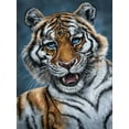 thumbnail image 2 of LaMontagne, Patrick 12x14 Gold Ornate Wood Framed with Double Matting Museum Art Print Titled - Amur Tiger, 2 of 4