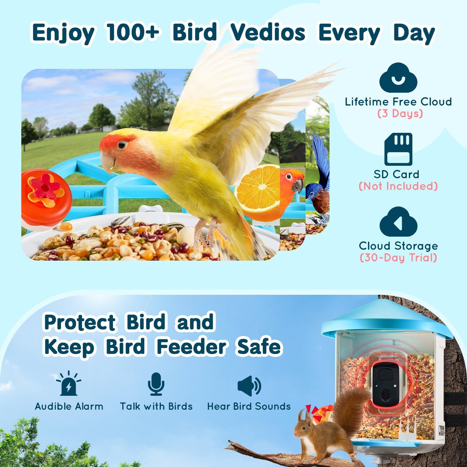 Solar-Powered Smart Bird Feeder with AI Bird Identifier - Recognizes 10K+ Species, HD Camera & Weatherproof