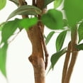 thumbnail image 6 of DR.Planzen 5 feet Artificial Ficus Tree, Tall Lifelike Greenery with Natural Wood Trunk for Living Room, office floor and corner decor, 6 of 12