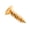 Golden, variant on 50pc Electric Guitars Pickguard Screws for Electric Guitar Bass Pickguard Fixation Suitable for Repair and Replacement