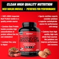 thumbnail image 5 of MuscleMeds Carnivor Lean Meal Whole Food Meal Replacement Shake – 40g Beef Protein Isolate & Carbs – Sugar-Free, Lactose-Free – Chocolate Fudge, 4.4 lbs, 5 of 6