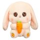 thumbnail image 2 of Kawaii Plushie Bunny Stuffed Animal Cute Plush Radish Rabbit Holding Carrot Plush Toy Soft Pillow Doll Children Kid Girl Gifts, 2 of 5