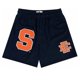 thumbnail image 1 of Pantalones cortos de gimnasio para hombre, Shorts clásicos de malla con estampado Floral, informales, para baloncesto y gimnasio, novedad de verano, 2024, 1 of 5