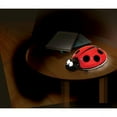 thumbnail image 4 of Dreambaby® Lady Bug LED Night Light with Automatic Shut off Feature, 4 of 5