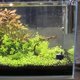 thumbnail image 3 of OUNONA Water Pump Fish Tank Compacto Con Motor Brushless Negro Uso En, 3 of 7