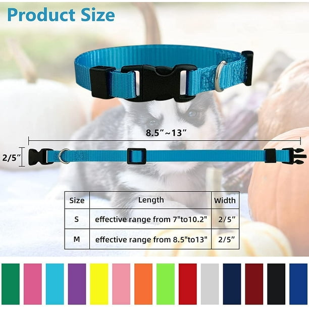 Newborn puppy collars clearance walmart