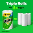 thumbnail image 3 of Paper Towels - 10 Triple Rolls, 3 of 7