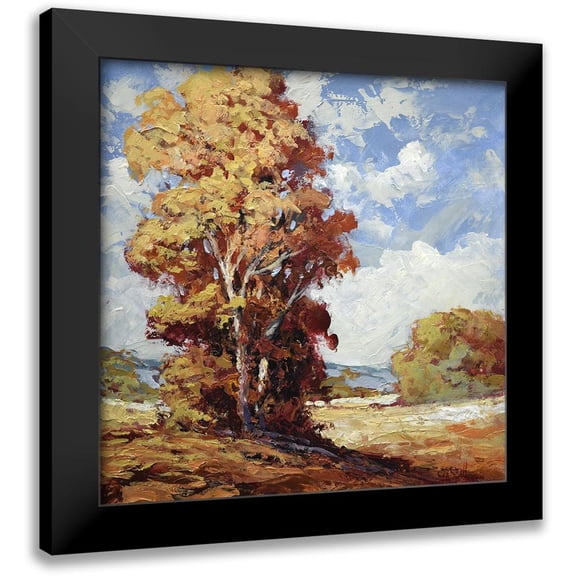 Johnson, Tim 12x12 Black Modern Framed Museum Art Print Titled - Still Afternoon 2