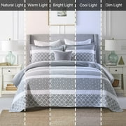 Bedduvit Gray/White Queen Size Quilt Set - 100% Cotton Grey Floal Striped Summer Quilt for Queen Bed, Reversible Classic Lightweight Queen Bedspread, 3-Piece Bedding Set All Season (98x90, Gray)