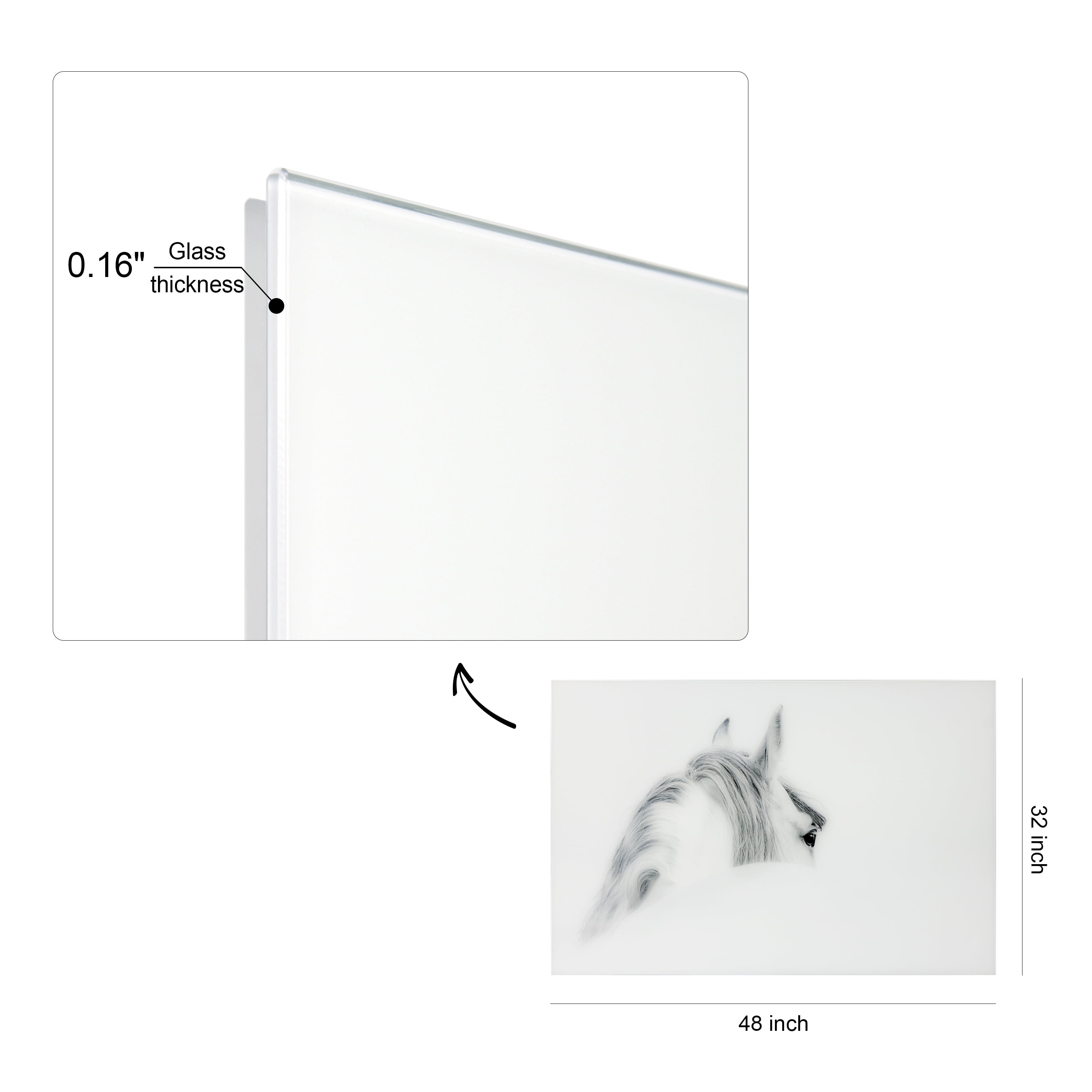 Empire Art Direct Blanco Mare Horse Frameless Free Floating Tempered Glass Panel Graphic Wall Art, 48" x 32" x 0.2", Ready to Hang