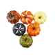 thumbnail image 1 of Yuarrent 6 unids/set simulación calabaza otoño Mini calabaza conjunto Halloween calabaza Acción de Gracias decoración calabaza Halloween decoración Kits de decoración para fiestas Yuarrent HA000956-00B, 1 of 8