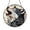 Acrylic 3.5 Inch, variant on Wildlife Wolf Glass Style Window Art – Forest Theme1701