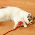 thumbnail image 2 of Destyer Interactive Cat Toy Balls Healthy Silicone Resistant To Scratching And Biting Interactive Dog Ball grey, 2 of 6