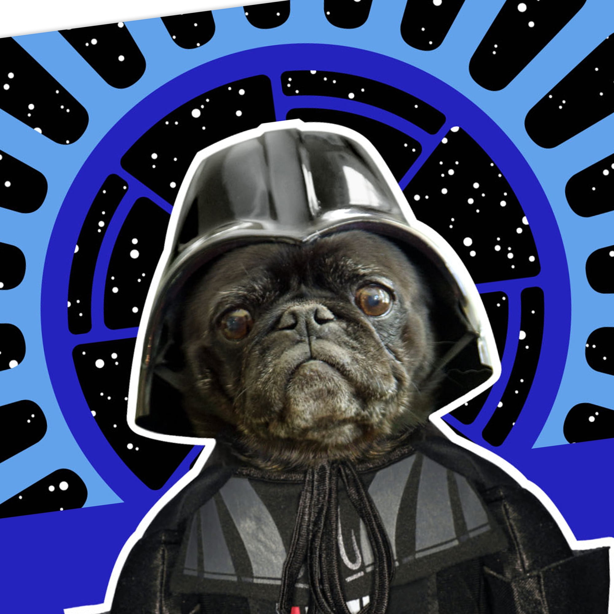 Hallmark Star Wars Funny Musical Birthday Card (From the Bark Side Pug)