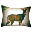 thumbnail image 2 of Betsy Drake Interiors Buck Small Indoor/Outdoor Pillow 11x14, 2 of 3