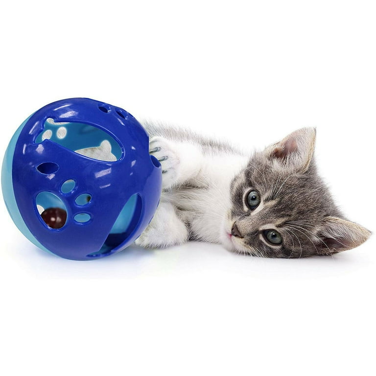 Cat ball 2024 with bell