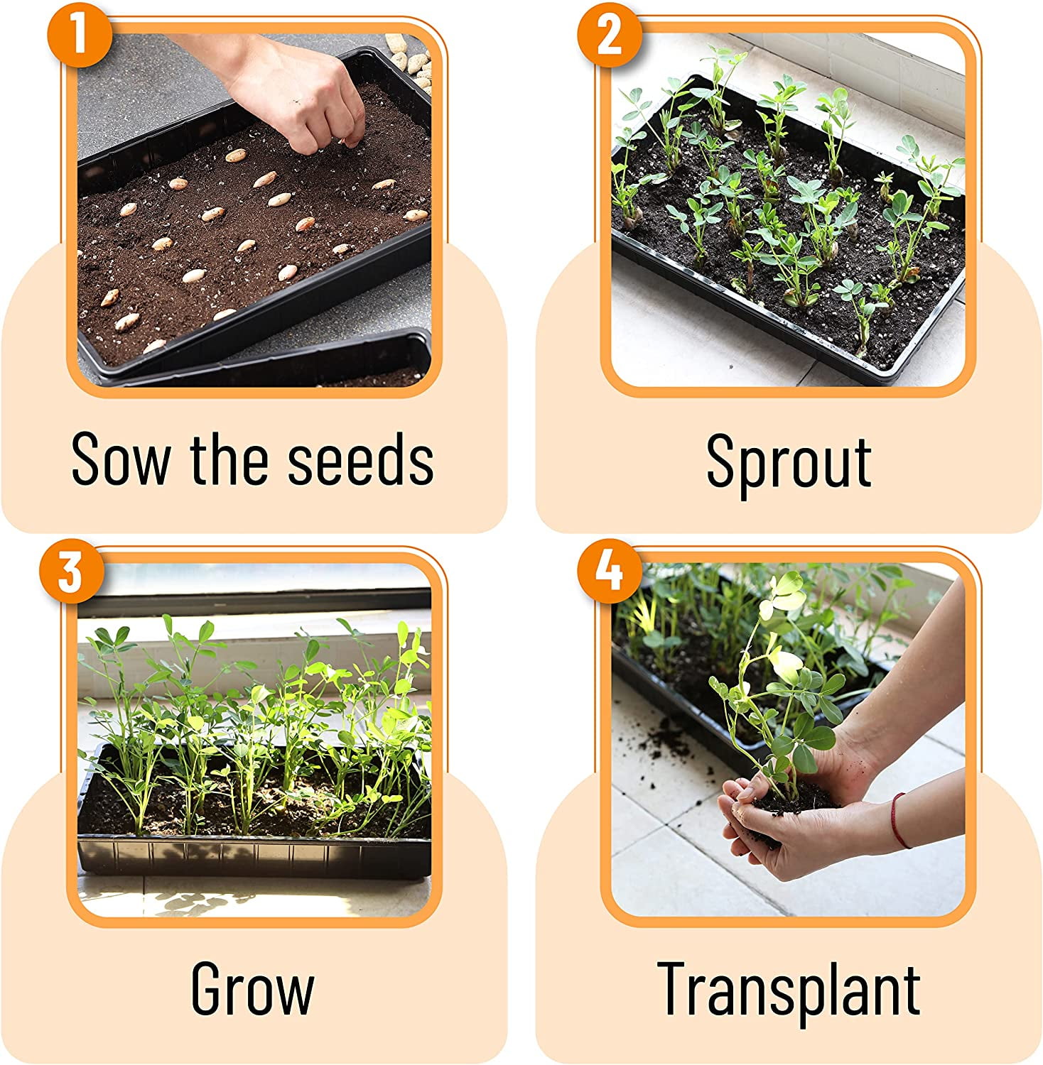 -Plastic Growing Trays, 5 Pack, Plant Tray, Seed Tray, Propagation Tray