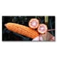 thumbnail image 1 of Cuadro Canva Listo Para Colgar Tipo Galería Elotes 50X100 cm, 1 of 4