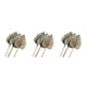 thumbnail image 4 of Wosthever 3 unids/set hoja de palma Natural para decoración del hogar-lanzas de palma secas naturales multifuncionales y duraderas 20 cm * 25 cm 20cm＊25cm 3Conjunto, 4 of 6
