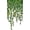 Green Pearl Vine Transparent, variant on Original Hand Drawn Faux Stained Glass Window Hanging Clings，Double Sided See Through Green Window Film Floral for Living Room,Glass Front Door,Green Pearl Vine 12.99"X22.83"