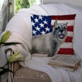 thumbnail image 3 of Carolines Treasures BB9662PW1414 Schnauzer Patriotic Fabric Decorative Pillow 14Hx14W multicolor, 3 of 4