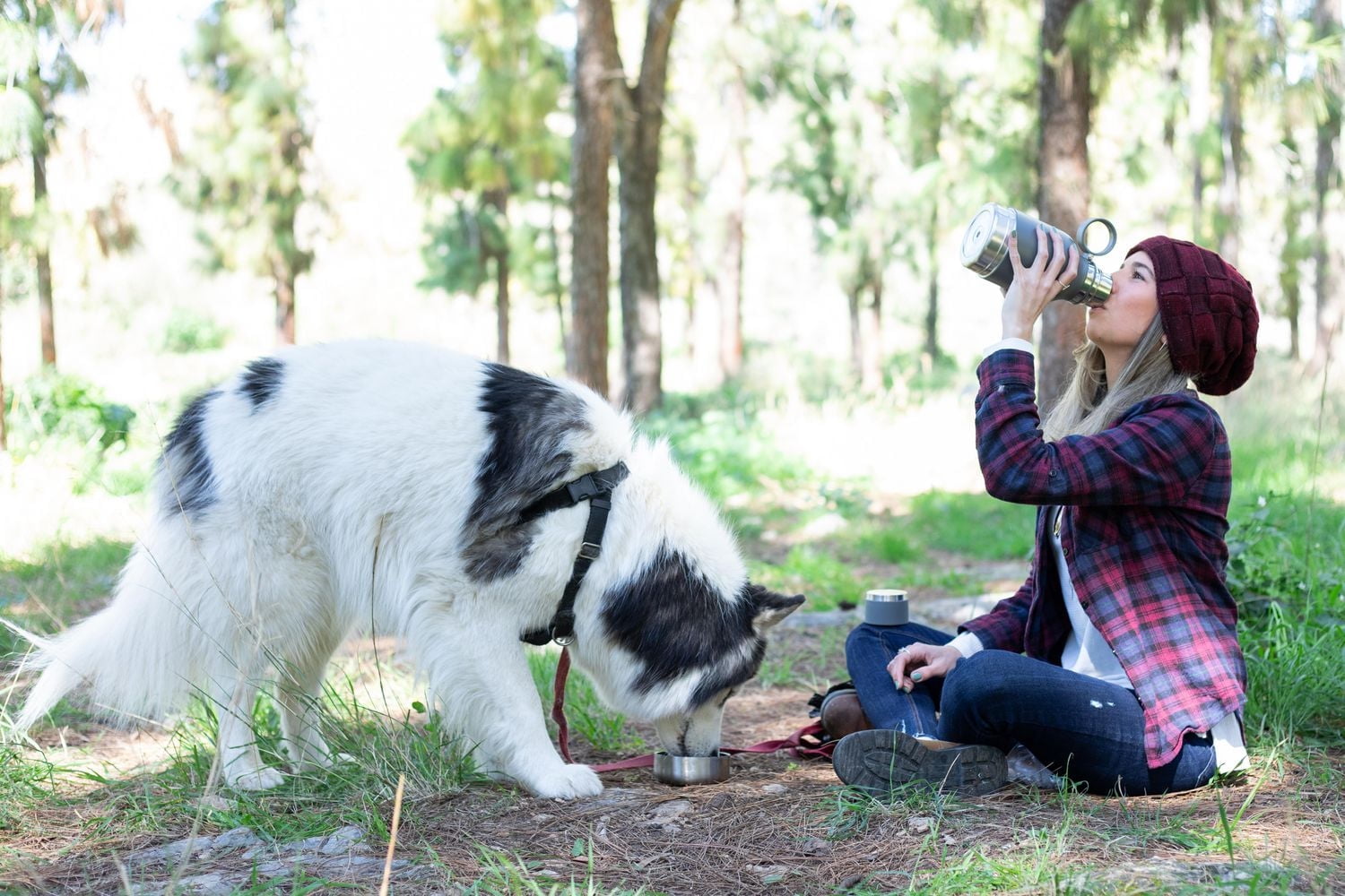Asobu BOUTEILLE CHIEN